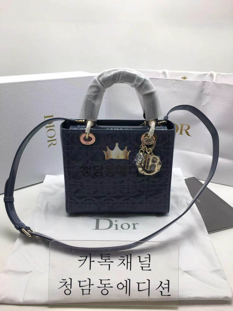 디올 레이디백 미디움 (카프스킨)