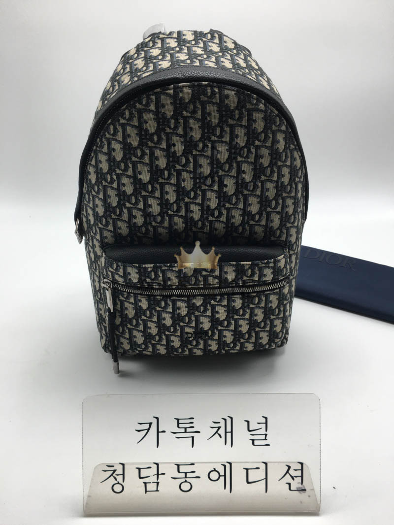 디올 RIDER 오블리크 백팩