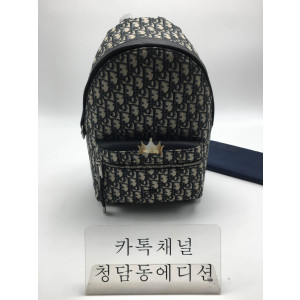 디올 RIDER 오블리크 백팩