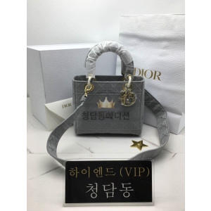 디올 레이디 D LITE 백 미디움