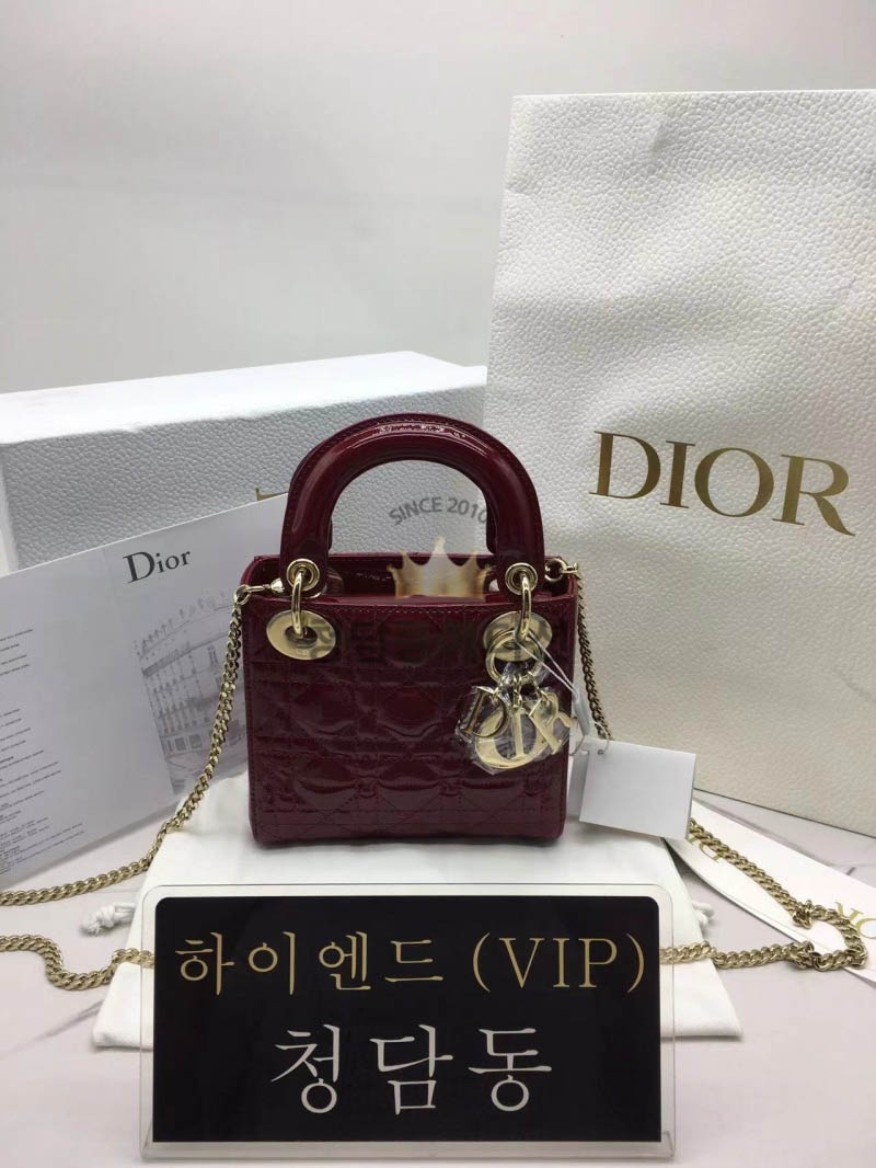 디올 레이디백 미니 (카프스킨)