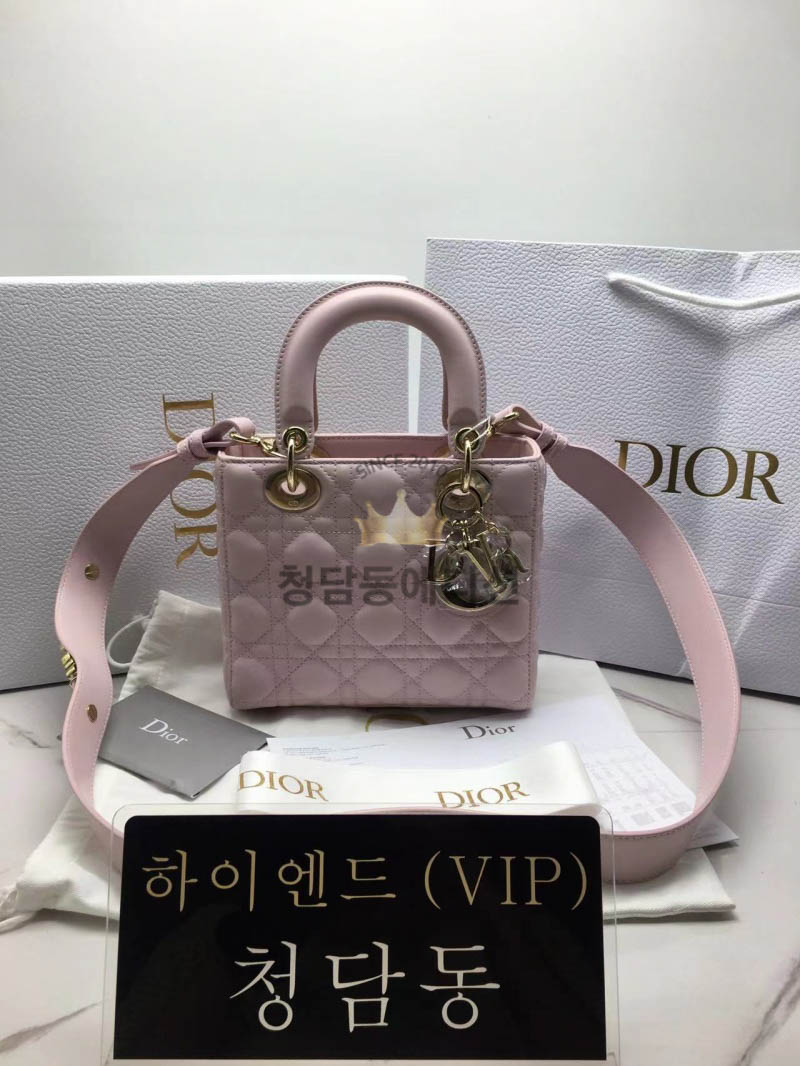 디올 레이디백 스몰 (램스킨) (upgrade ver.)
