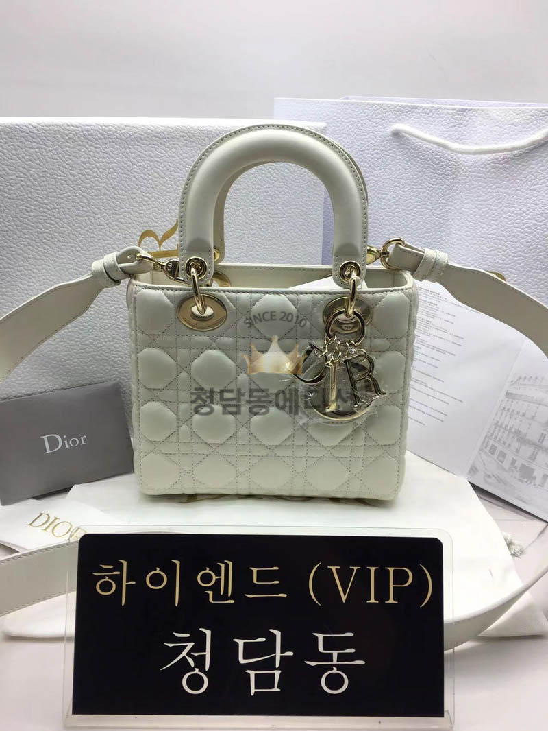 디올 레이디백 스몰 (램스킨) (upgrade ver.)