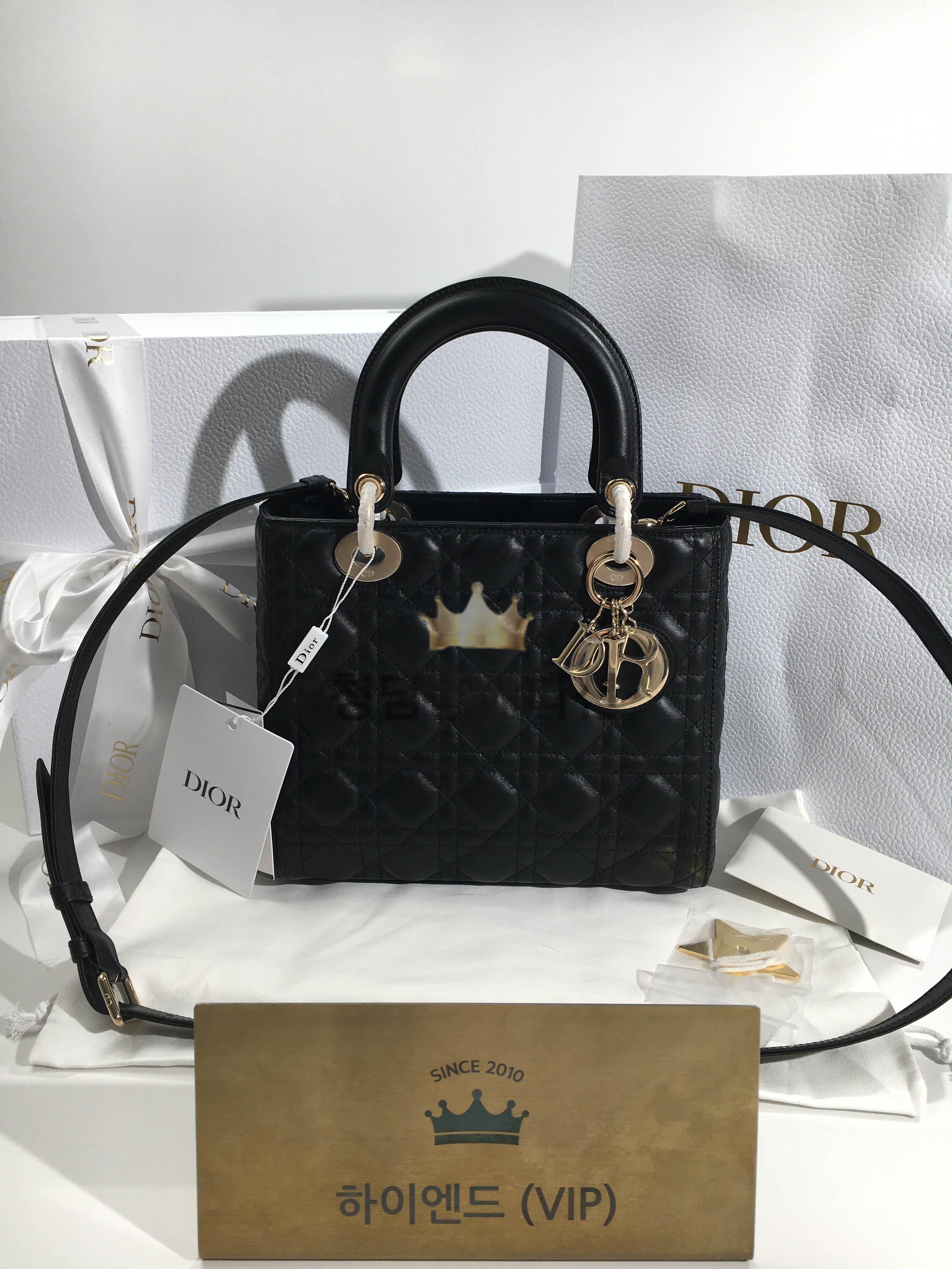 디올 레이디백 미디움 (램스킨)