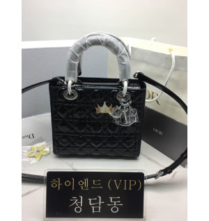 디올 레이디백 미디움 (카프스킨)