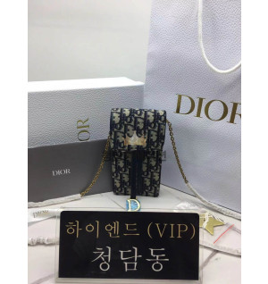 디올 새들 버티컬 파우치