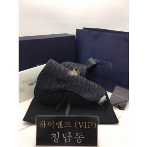 디올 오블리크 새들백 스몰