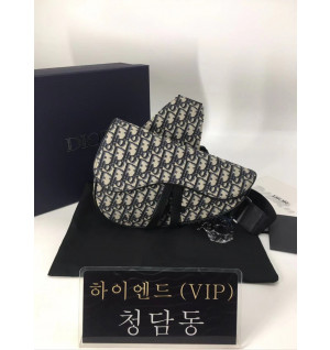 디올 오블리크 새들백 스몰