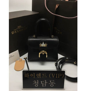 델보 브리앙 미니/PM (컬러 블랙) (금장/은장)