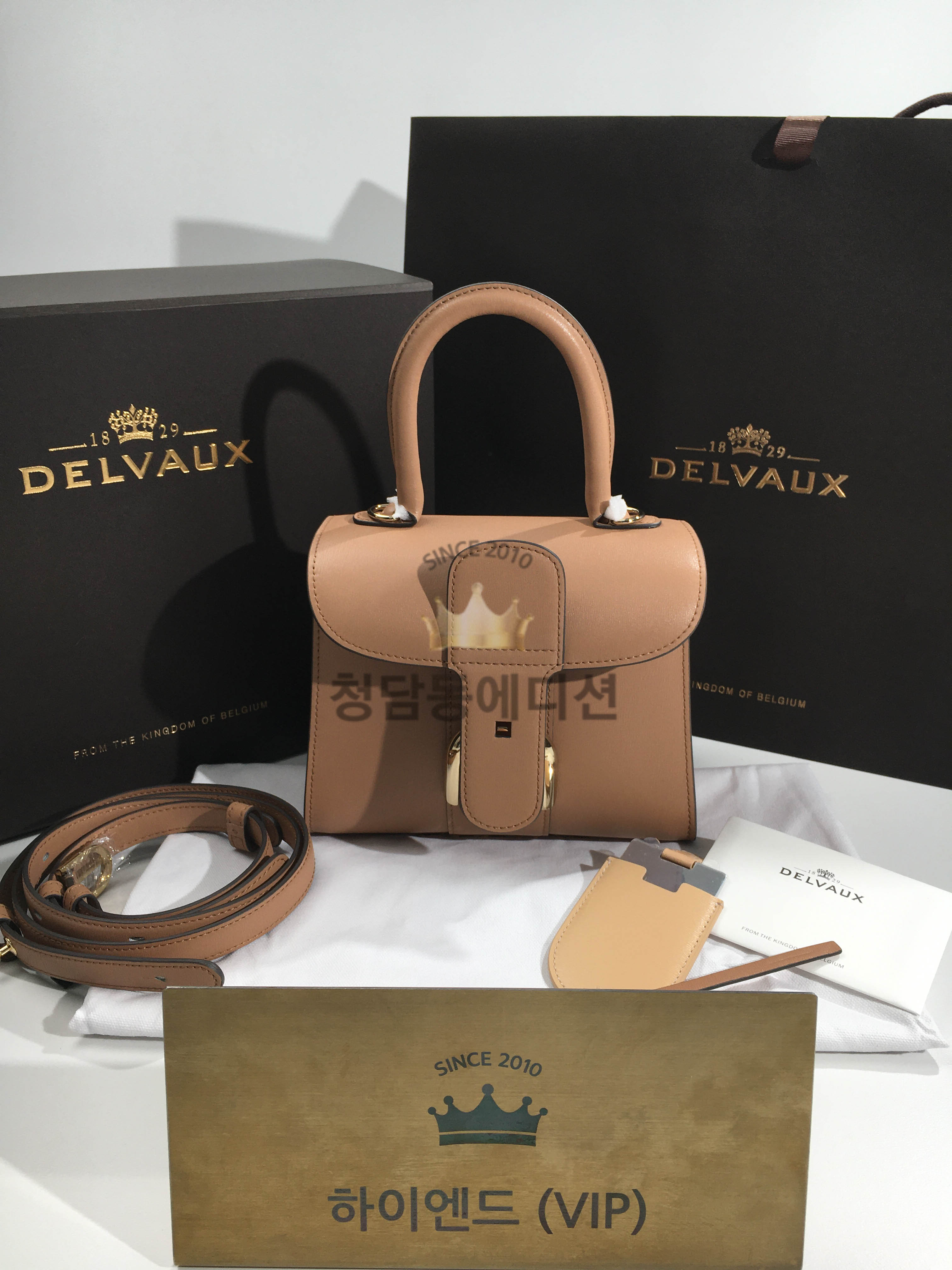 델보 브리앙 미니/PM (컬러 비죵) (금장/은장)