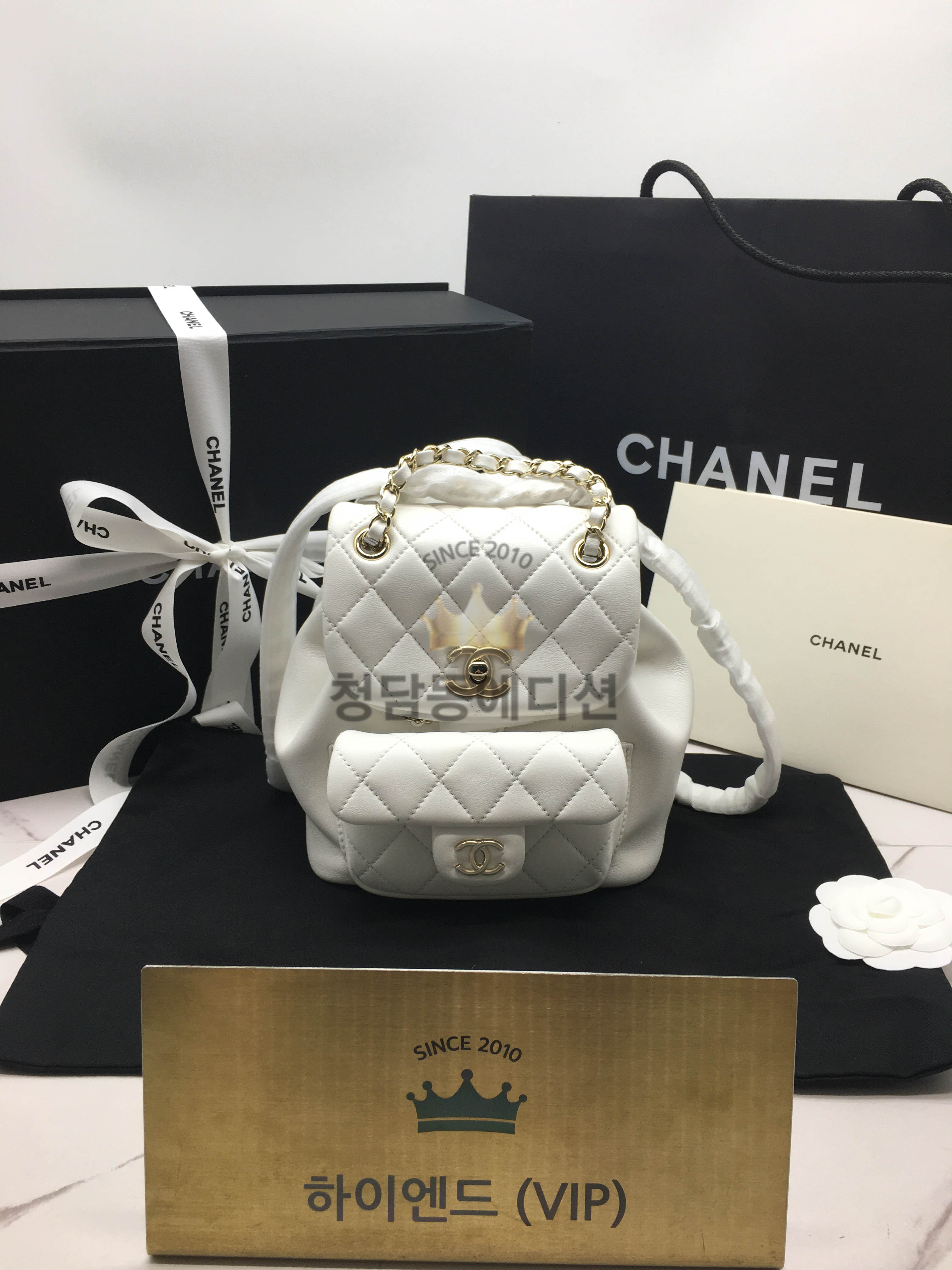 샤넬 22A 듀마 백팩 스몰 램스킨