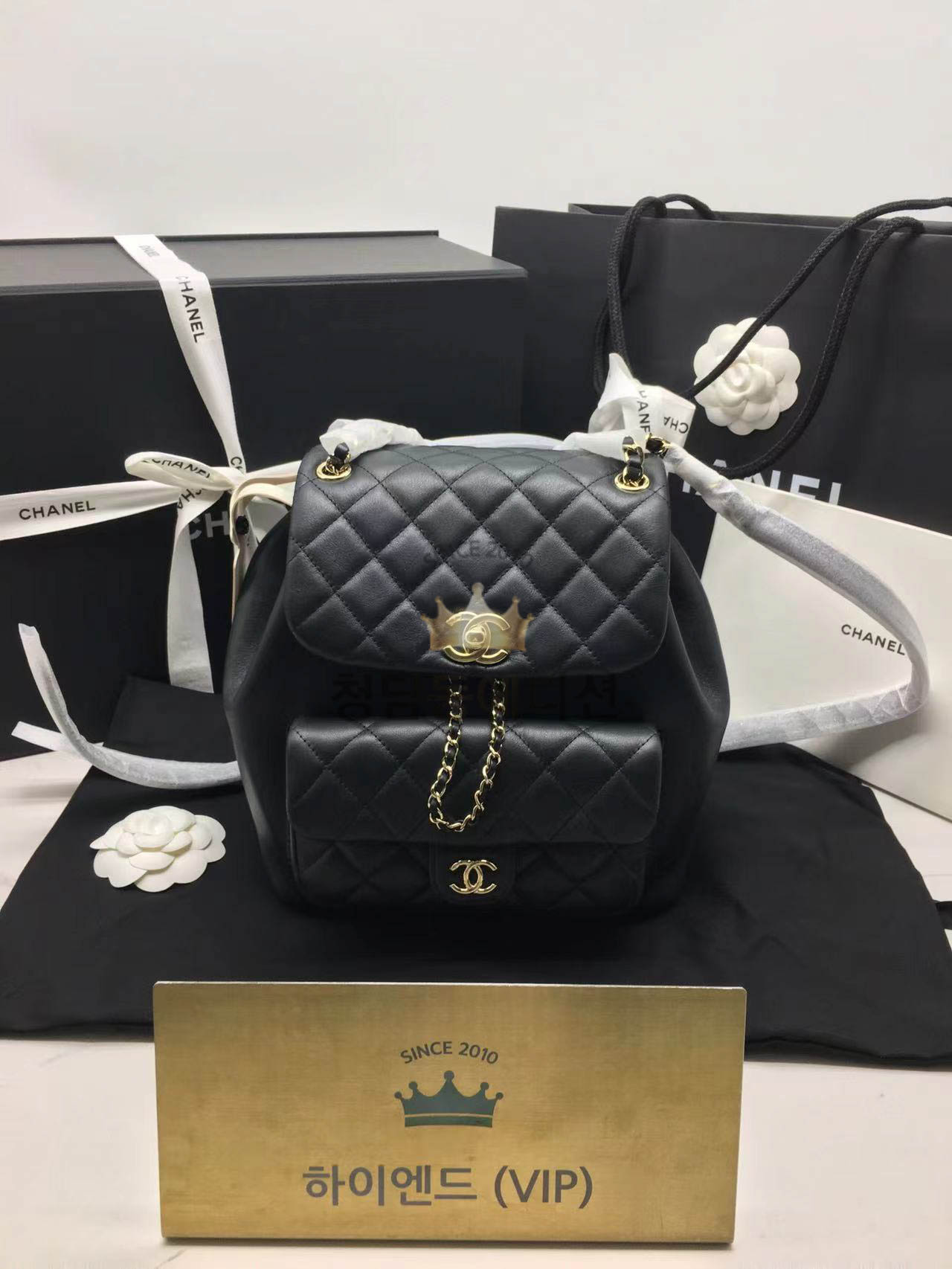 샤넬 22C 듀마 백팩 미디움 카프스킨