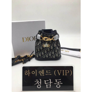 디올 CD C'EST 오블리크 백 스몰 / 미디움