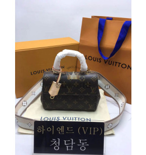 루이비통 LV 클루니 미니 / BB
