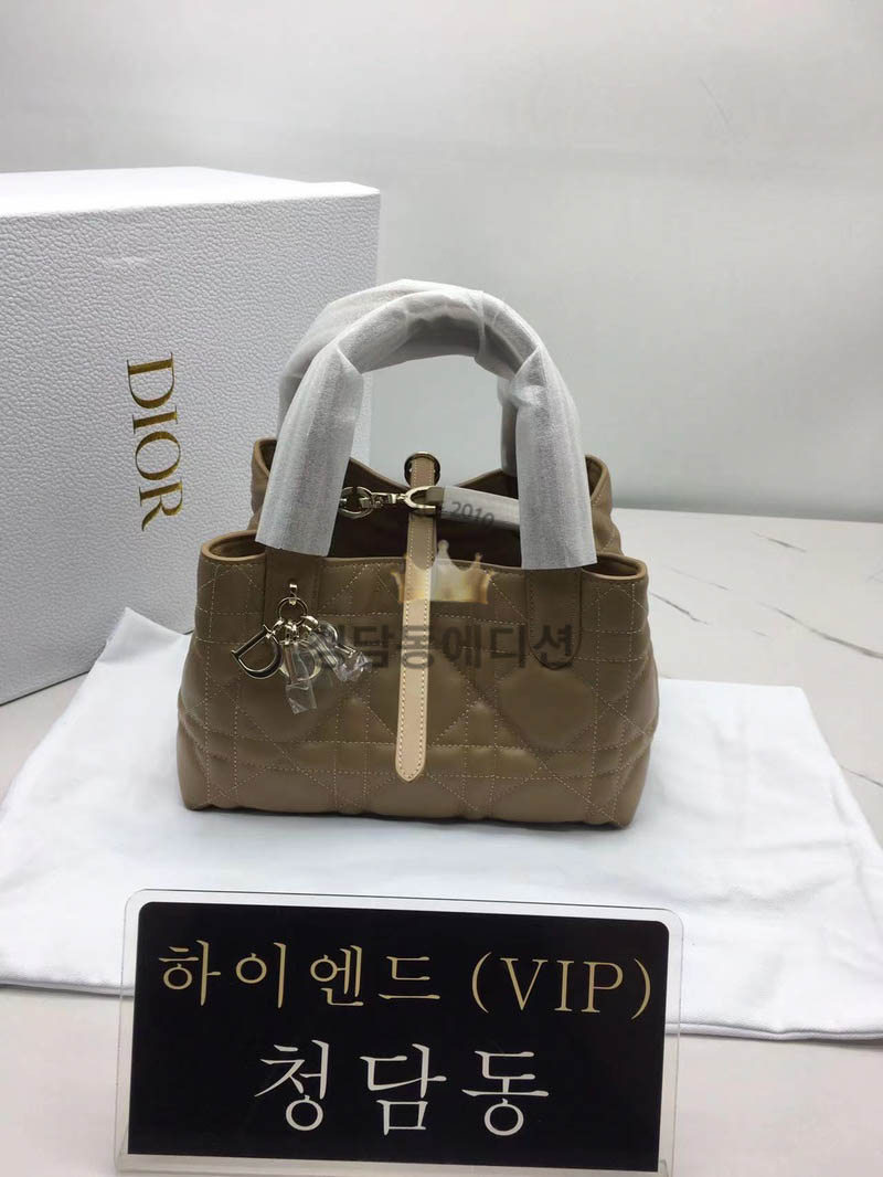 디올 뚜주흐 스몰백