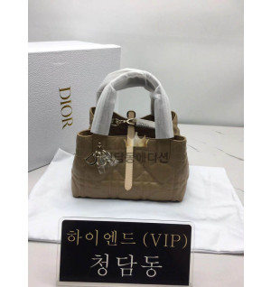 디올 뚜주흐 스몰백