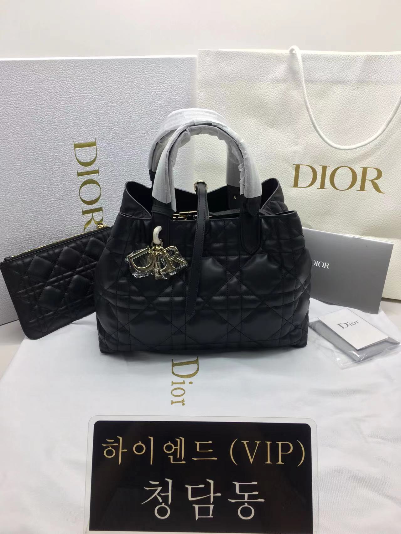 디올 뚜주흐 미디엄 백