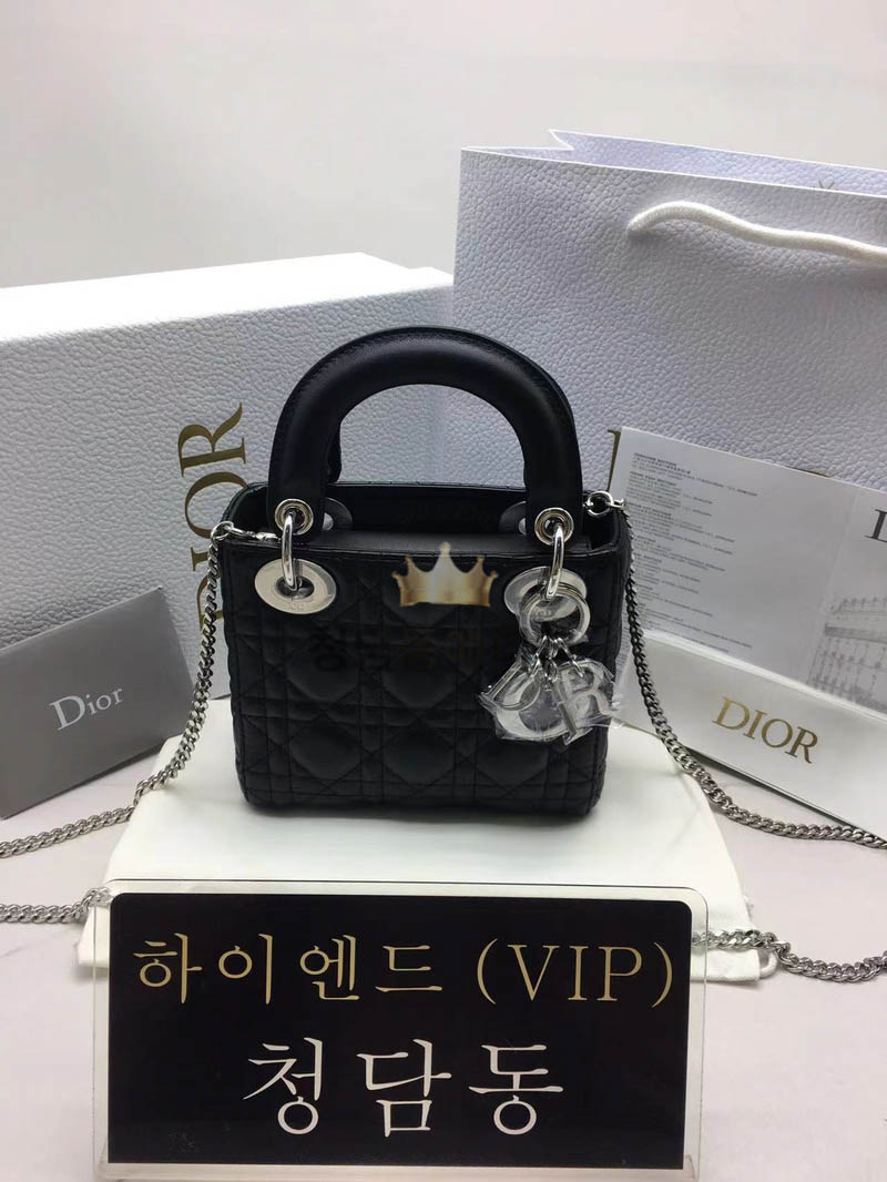 디올 레이디백 미니 (램스킨) (구형)