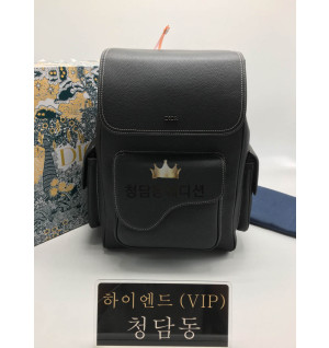 디올 SADDLE 백팩 1ADBA161YKK