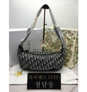 디올 디저니 미디움 백