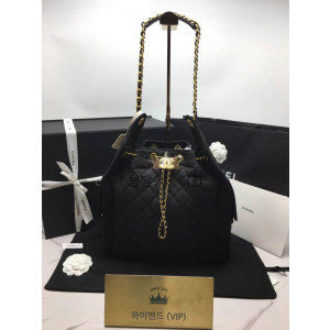 샤넬 25C 크루즈 뉴 호보백 미디움 (25백)