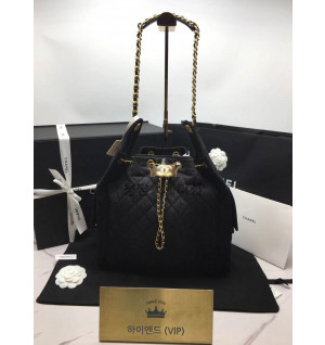 샤넬 25C 크루즈 뉴 호보백 미디움 (25백)