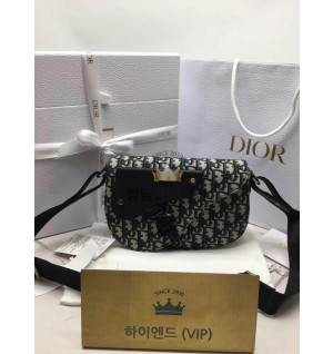 디올 새들 메신저백