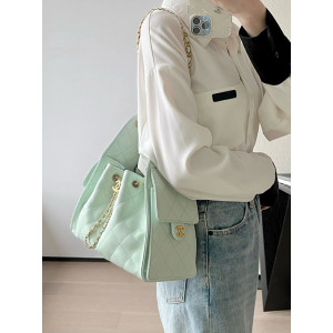 샤넬 25c 크루즈 뉴 호보백 스몰 (25백)