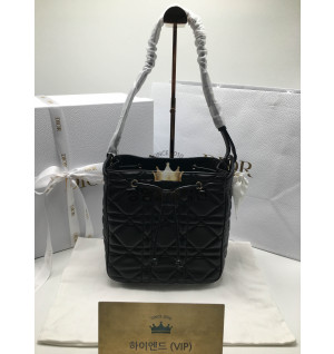 디올 D-MOTION 미디움 백