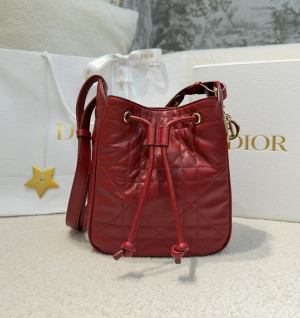 디올 D-MOTION 스몰 백