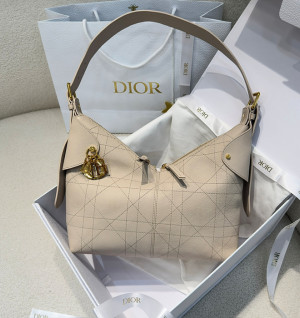 디올 보야지 voyage 미디엄 백