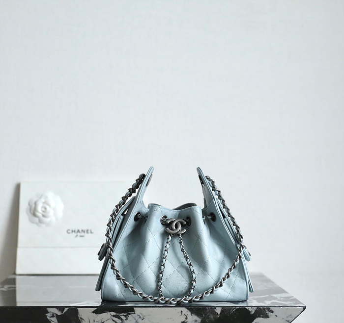 샤넬 25C 크루즈 뉴 호보백 미니 (25백)