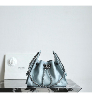 샤넬 25C 크루즈 뉴 호보백 미니 (25백)