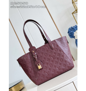 루이비통 올 인 원 PM