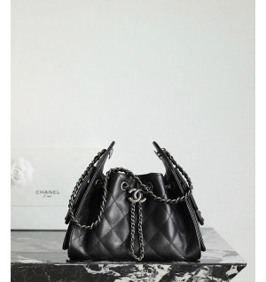 샤넬 25C 크루즈 뉴 호보백 미니 (25백)