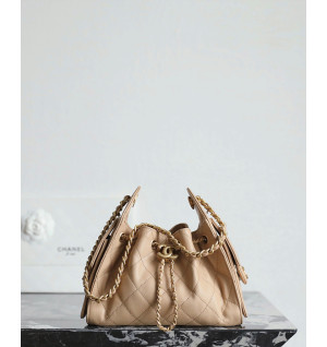 샤넬 25C 크루즈 뉴 호보백 미니 (25백)