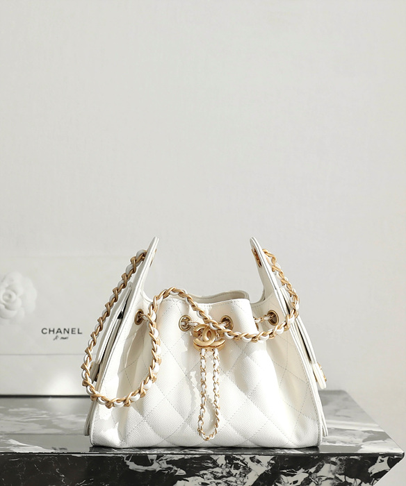 샤넬 25C 크루즈 뉴 호보백 미니 (25백)