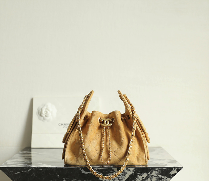 샤넬 25C 크루즈 뉴 호보백 미니 (25백)