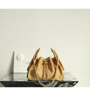 샤넬 25C 크루즈 뉴 호보백 미니 (25백)